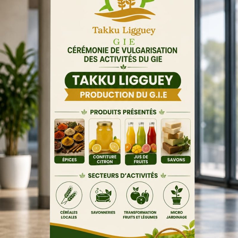 Roll-up – Takku Ligguey GIE (agroalimentaire)